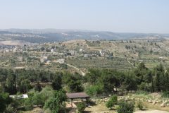 IMG_7203