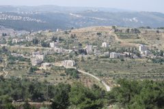 IMG_7207