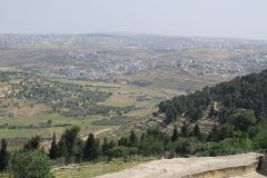 IMG_7241